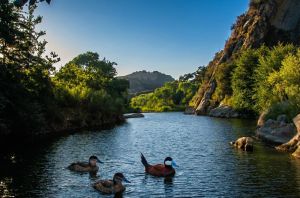 Santa Ynez River